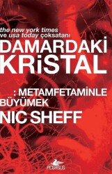 Damardaki Kristal: Metamfetaminle Büyümek - Pegasus Yayınları