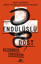 Endülüslü Dost - 2