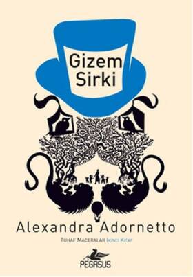 Gizem Sirki - 2