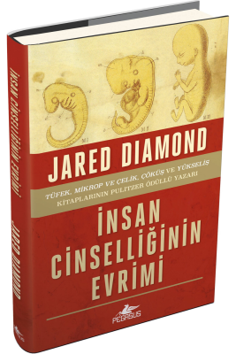 İnsan Cinselliğinin Evrimi - 1