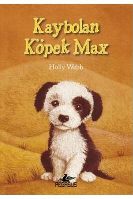Kaybolan Köpek Max - 1
