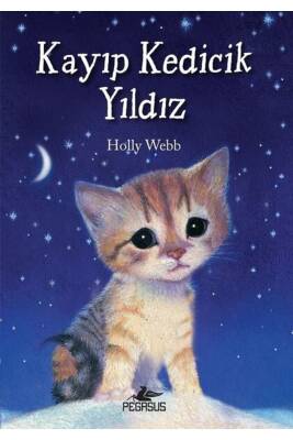 Kayıp Kedicik Yıldız - 1