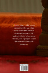 Kedileri Seven Keşiş: Yedi Keşif - 2