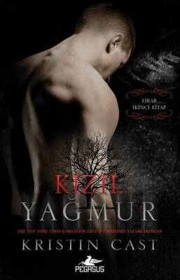 Kızıl Yağmur - Firar 2. Kitap - 1