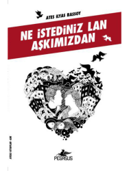Ne İstediniz Lan Aşkımızdan - 2