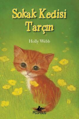 Sokak Kedisi Tarçın - 1